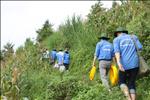 “Mùa hè xanh 2014” sẽ là đợt ra quân tình nguyện lớn nhất của sinh viên Trường Đại học Điện lực