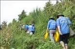 “Mùa hè xanh 2014” sẽ là đợt ra quân tình nguyện lớn nhất của sinh viên Trường Đại học Điện lực